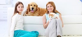 Cheap Upholstery Couches and Sofa Set Cleaning Melbourne
