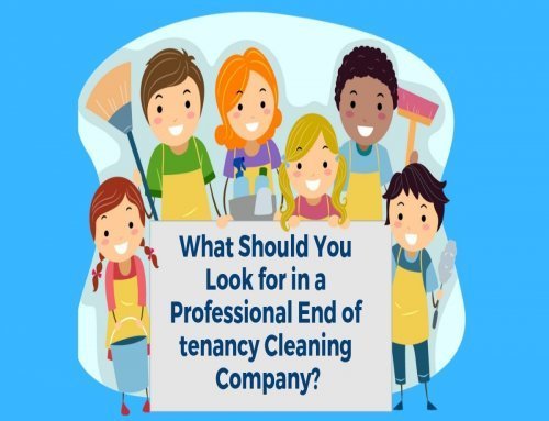 What Should You Look for in a Professional End of Tenancy Cleaning Company?
