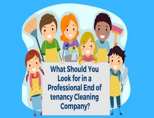 What Should You Look for in a Professional End of Tenancy Cleaning Company?