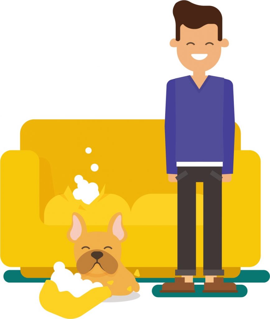 pets-during-cleaning